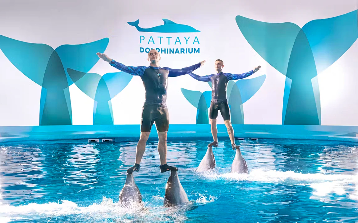 Entry Tickets To Pattaya Dolphinarium Location